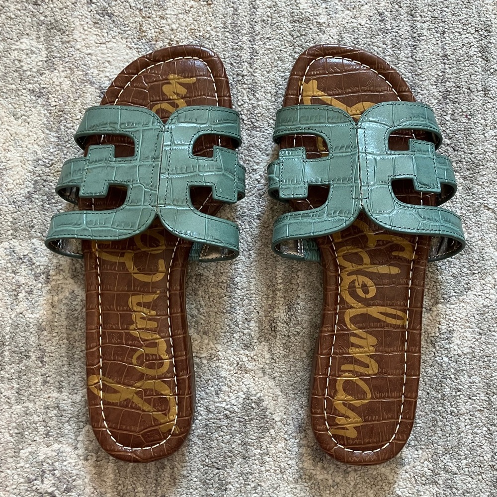 Sam Edelman Green and Brown Sandals